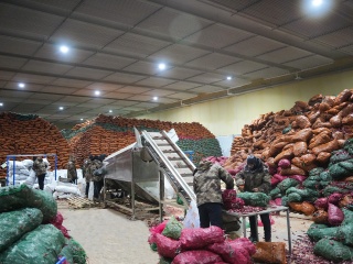 Refrigerator Compartment