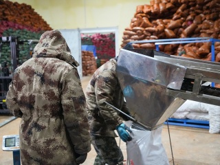 Refrigerator Compartment