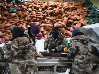 Refrigerator Compartment