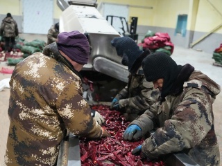Refrigerator Compartment