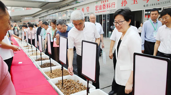首页-BB贝博艾弗森公司官网