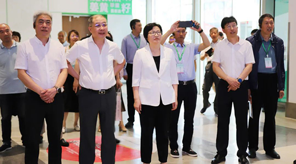 首页-BB贝博艾弗森公司官网