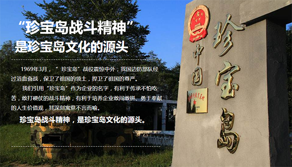 1746006369 首页-BB贝博艾弗森公司官网